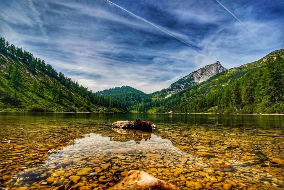 Апартаменты Popp'N Angerl Тауплиц Экстерьер фото
